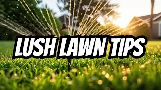 Watering Lawn 101 Top Tips and Tricks for a Beautiful Yard