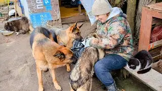 Большие вольеры и трусливый Русик