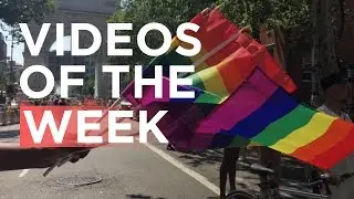 Videos of the Week - June 23-30 | Newzulu
