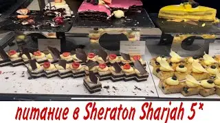 ПИТАНИЕ В SHERATON SHARJAH BEACH RESORT&SPA 5*/ Обзор завтраков, обедов и ужинов