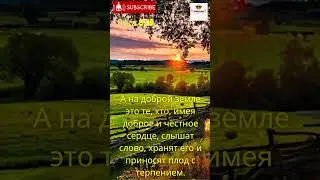 Как подготовить себя, чтобы стать как добрая почва?