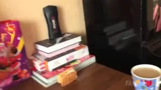 Коты - злюки