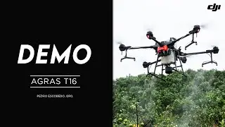 DJI Agras T16 - DEMO (Pedro Escobedo, Querétaro)