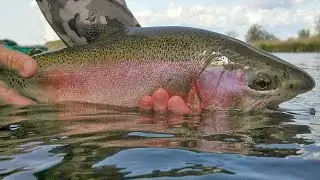 Yakima River Fly Fishing Report-UPDATED VERSION-July 20th-2023-Worley Bugger Fly Co