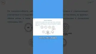 Какой ЭМБРИОН приживется после ЭКО #женскоездоровье #эко