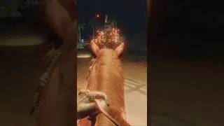 Oh Crap, Sorry Horse...😫☹️ Far Cry 6 - Gameplay