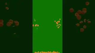 green screen for Falling Flower | Phulo Ki Barish | Flower Rain  2024|Green Screen for marigold