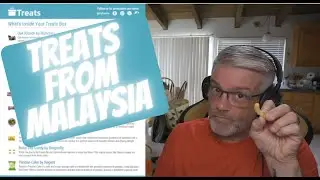 TREATS from Malaysia - Review and Reaction - Prawn Chips?  Hooo-Boy.