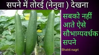 सपने में तोरई देखने का मतलब l sapne me torai dekhna. यह सपना सबको नहीं आता सौभाग्यवर्धक सपना l