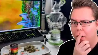 KATSOJIEN SETUPIT!