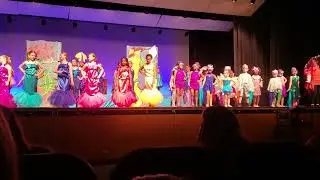 Little Mermaid by Rooted Tree Productions, Inc. My lil zebra shark dancing his butt off!