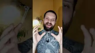 Атлетико Мадрид Райо Вальекано прогноз