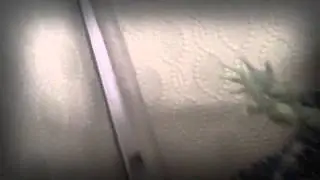 Судьба Венеры