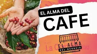 EL ALMA DEL CAFE