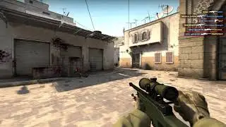 yolo