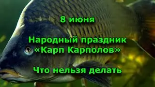 Народный праздник «Карп Карполов». 8 июня. Что нельзя делать. Народные приметы.