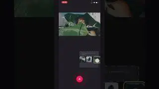 Adding, Removing, and Reordering clips