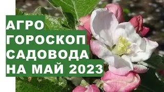 Gardener's agrohoroscope for May 2023. Agrohoroscope of a gardener on grass 2023
