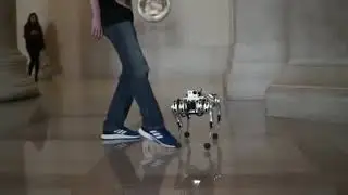 Робот спортсмен