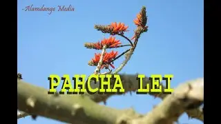 Pahcha - ALAMDANGE MEDIA