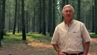 Informational Video: Forests Can Be A Global Warming Solutio
