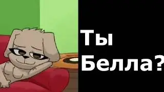 Белла отвечает на вопросы