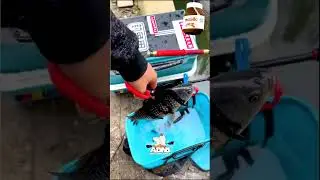pescador nutella