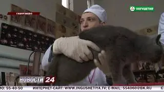 В аграрном техникуме Назрани расположилась одна из площадок чемпионата "WorldSkills"