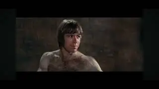 BRUCE LEE VS CHUCK NORIS