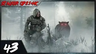 Прохождение  STALKER Народная Солянка + ОП 2.1 - Встреча с Доктором и Динамит для Лукаша#43.