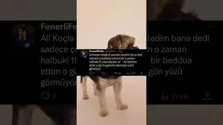 Bir ünlüyle olan anınızı anlatın - Komik Video Yorumları 
