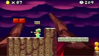 New Super Mario Bros (DS) World 8-4