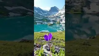 Как добраться в Адыгею? 