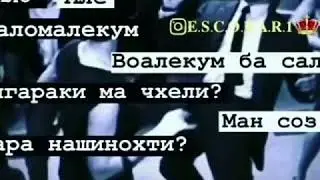 Чигараки мА чихели🤣😂👍👍👍
