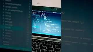 Programming lovers Python Lovers