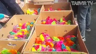 FARĞONADA RANG BARANG JÕJALAR