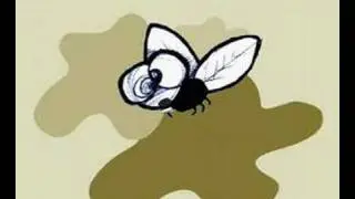 The Fly