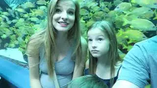 BIGGEST AQUARIUM IN THE U.S! Georgia World Aquarium in Atlanta, GA