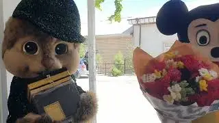 Конибодом 2024