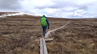 1-day hike from the car park at Höbäcken to Guoletsbäcken vattenfall (Ammarnäs - Sweden, 17.6.2022)