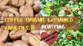 Coffee origins explained Varieties | Roasting coffee