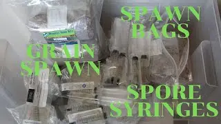 Grain Spawn Bags, Jars & Spore Syringes Review | Midwest Growkits & Sporestore