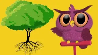 How Do Trees Grow? - Kids STEM 