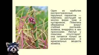 Общая дегенерация