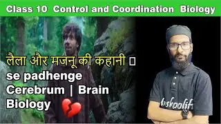 लैला और मजनू की कहानी 💔 se padhenge biology | Cerebrum Brain 🧠 | Class 10 #controlandcoordination