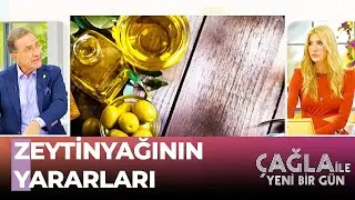 Yağların Kraliçesi Zeytinyağının Faydaları Neler? - Çağla ile Yeni Bir Gün 885. Bölüm