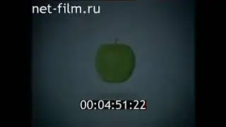Окончание программы 
