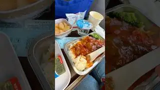 What they fed us on the plane during the 9-hour flight ✈️ 
