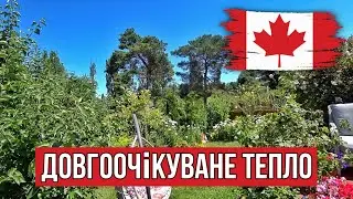 Довгоочікуване тепло в Вікторії