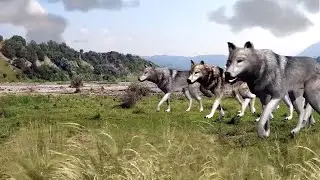 🐺 Новый сборник лучших чеченских песен 🐺